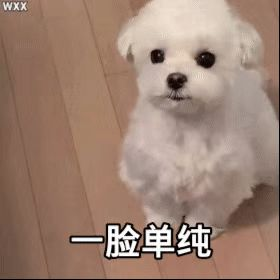 當(dāng)?shù)貨]有分支機(jī)構(gòu)的保險(xiǎn)產(chǎn)品，能買嗎？插圖2