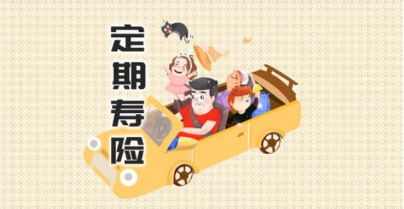 陽(yáng)光全民保定期壽險(xiǎn)怎么樣可靠么？插圖