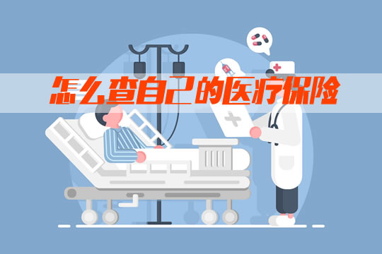 醫(yī)療保險的查詢方法是什么？插圖