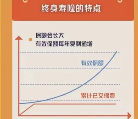 增額終身壽險四大功能是什么？可以去哪里了解？插圖