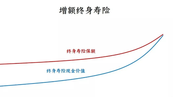 一款保額會長大的增額終身壽險你值得擁有