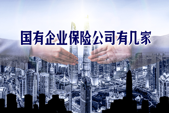 全國有多少保險公司？有多少家國有企業(yè)保險公司？插圖