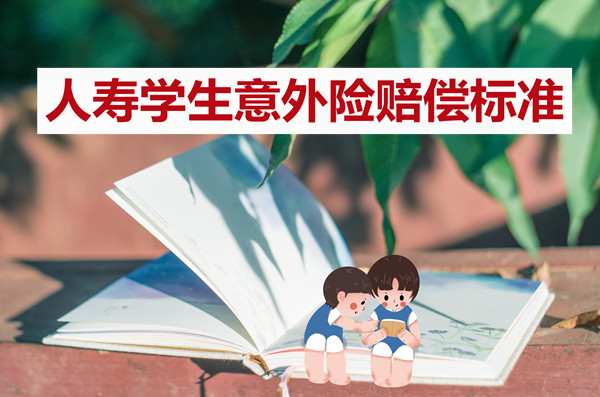中國人壽學生意外險賠償標準插圖