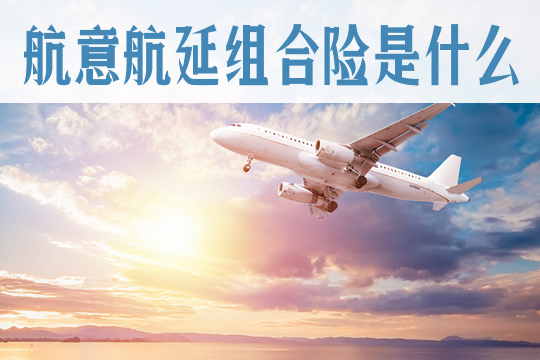 什么是航意航延組合險？插圖