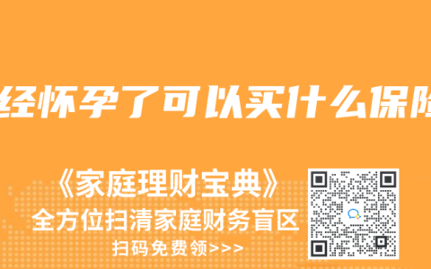 已經(jīng)懷孕了可以買(mǎi)什么保險(xiǎn)