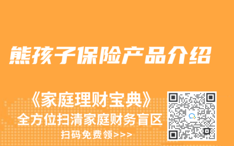 熊孩子保險(xiǎn)產(chǎn)品介紹