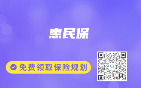 惠民保