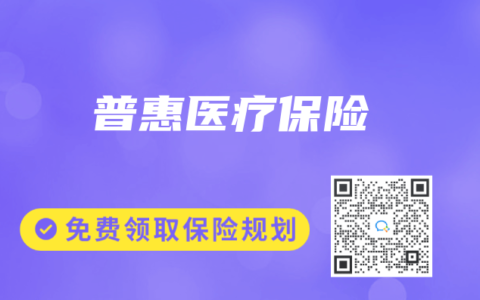 普惠醫(yī)療保險