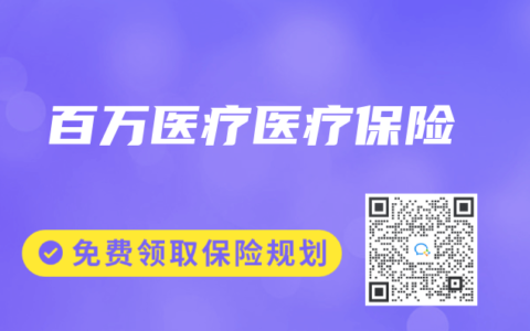 百萬(wàn)醫(yī)療醫(yī)療保險(xiǎn)